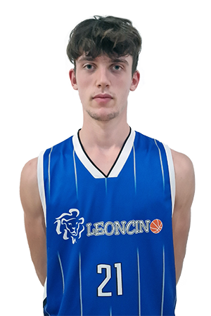 Luca Modenese